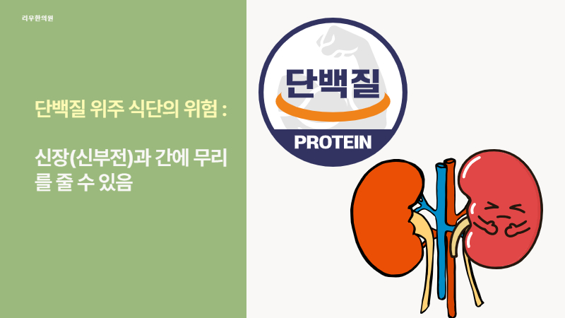 당뇨 살빠짐 과다한 단백질은 위험