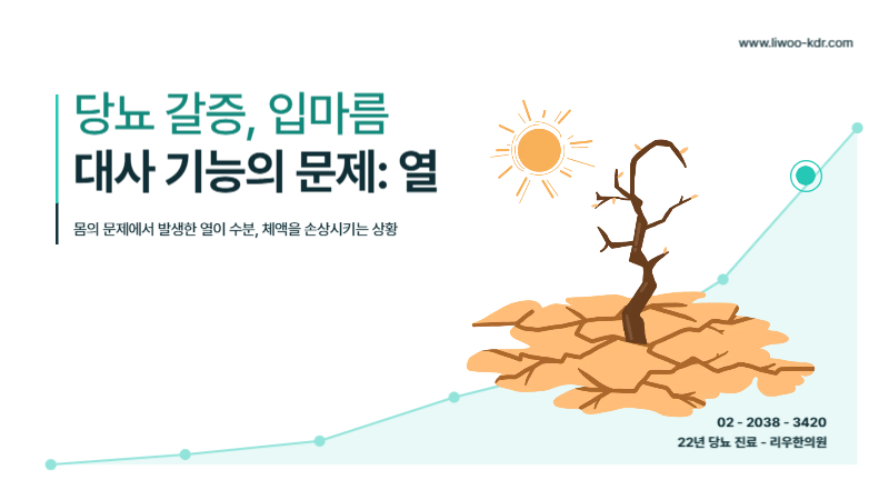 당뇨 갈증 체내 열 문제