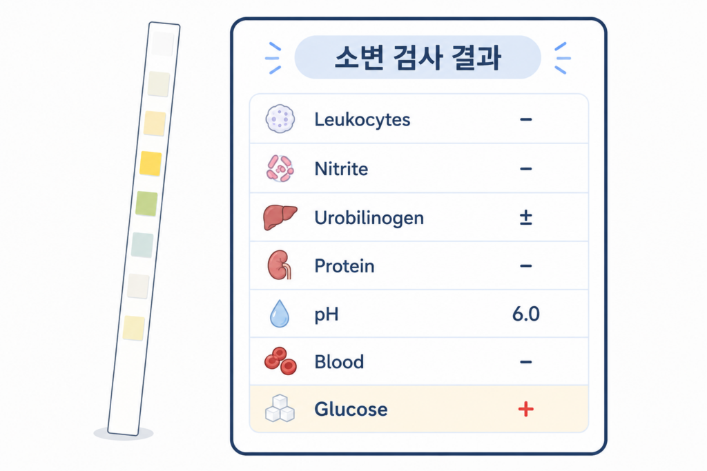 요당 보이는 소변 검사