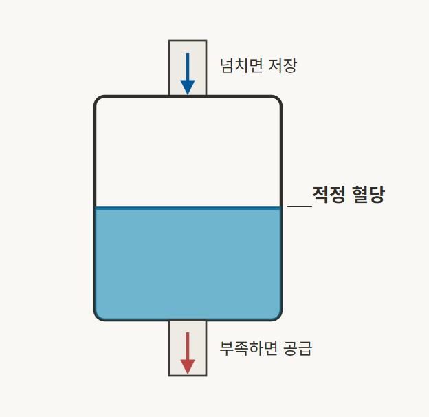 당뇨발 병원 - 혈당 조절(저장, 분비)