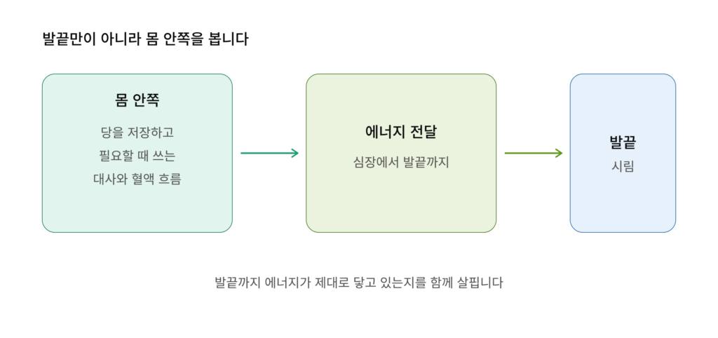 당뇨발 시림에서 확인할 사항